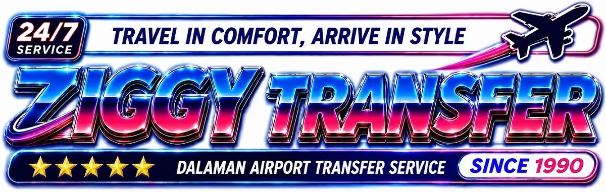 Ziggy Transfer