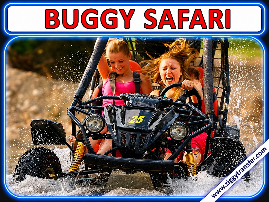 Buggy Safari