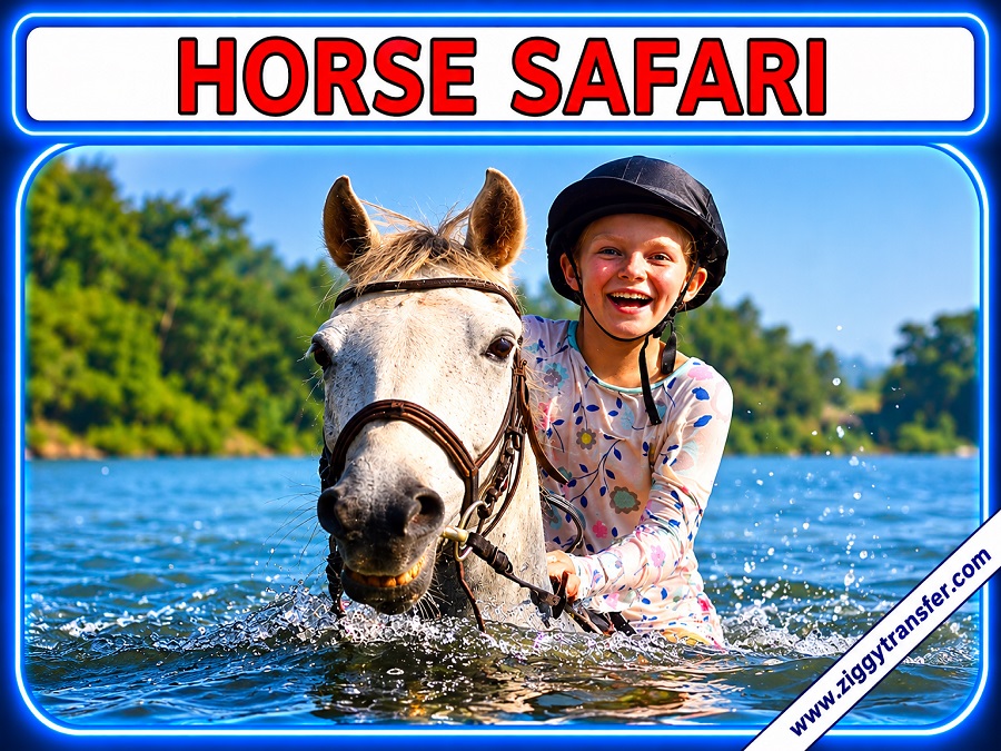 Horse Safari