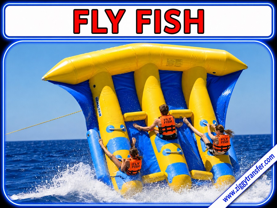 Fly Fish
