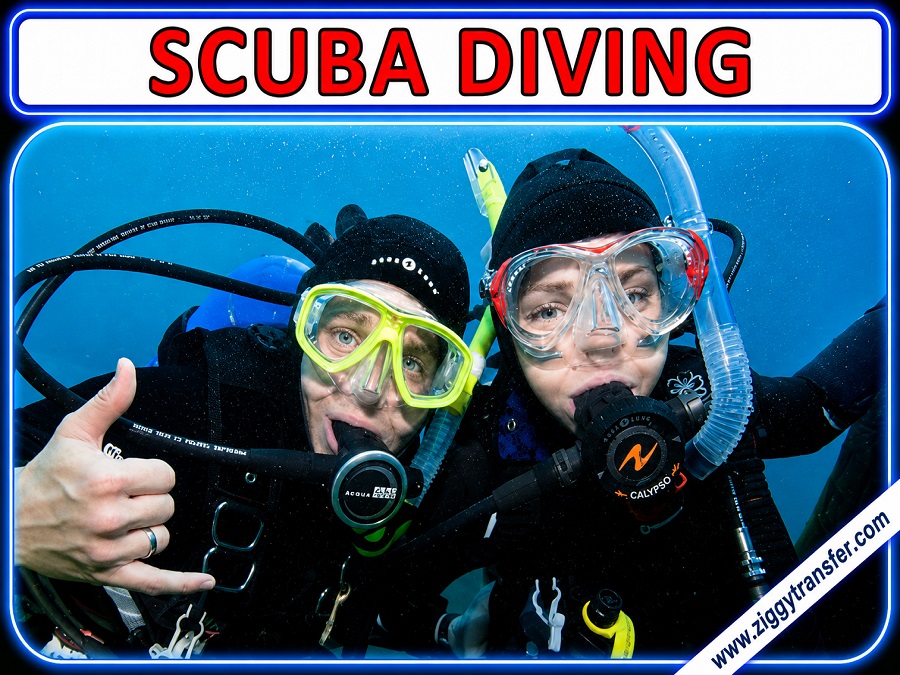 Scuba Diving