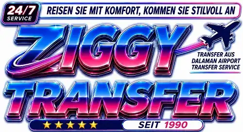Ziggy Transfer
