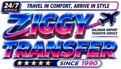 Ziggy Transfer